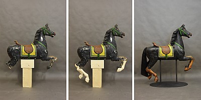 Pferd vorher nachher